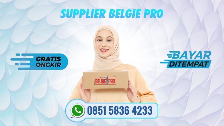 Supplier Belgie Pro di Amurang